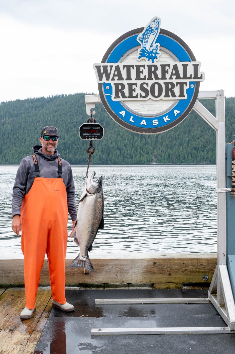 King of the Day catch at Waterfall Resort 31.1lbs King Salmon