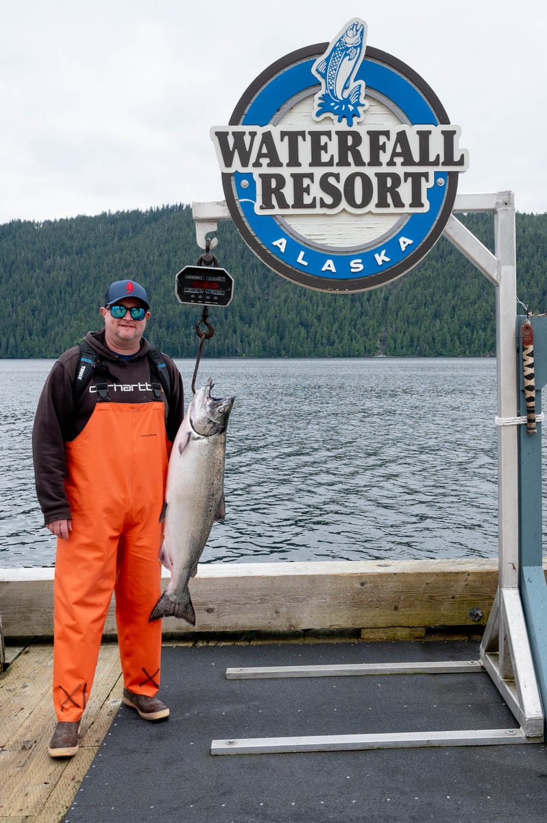 King of the Day catch at Waterfall Resort 31lbs King Salmon